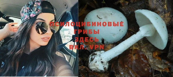 кокаин колумбия Рославль