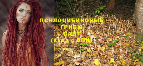 ГАЛЛЮЦИНОГЕННЫЕ ГРИБЫ Армянск